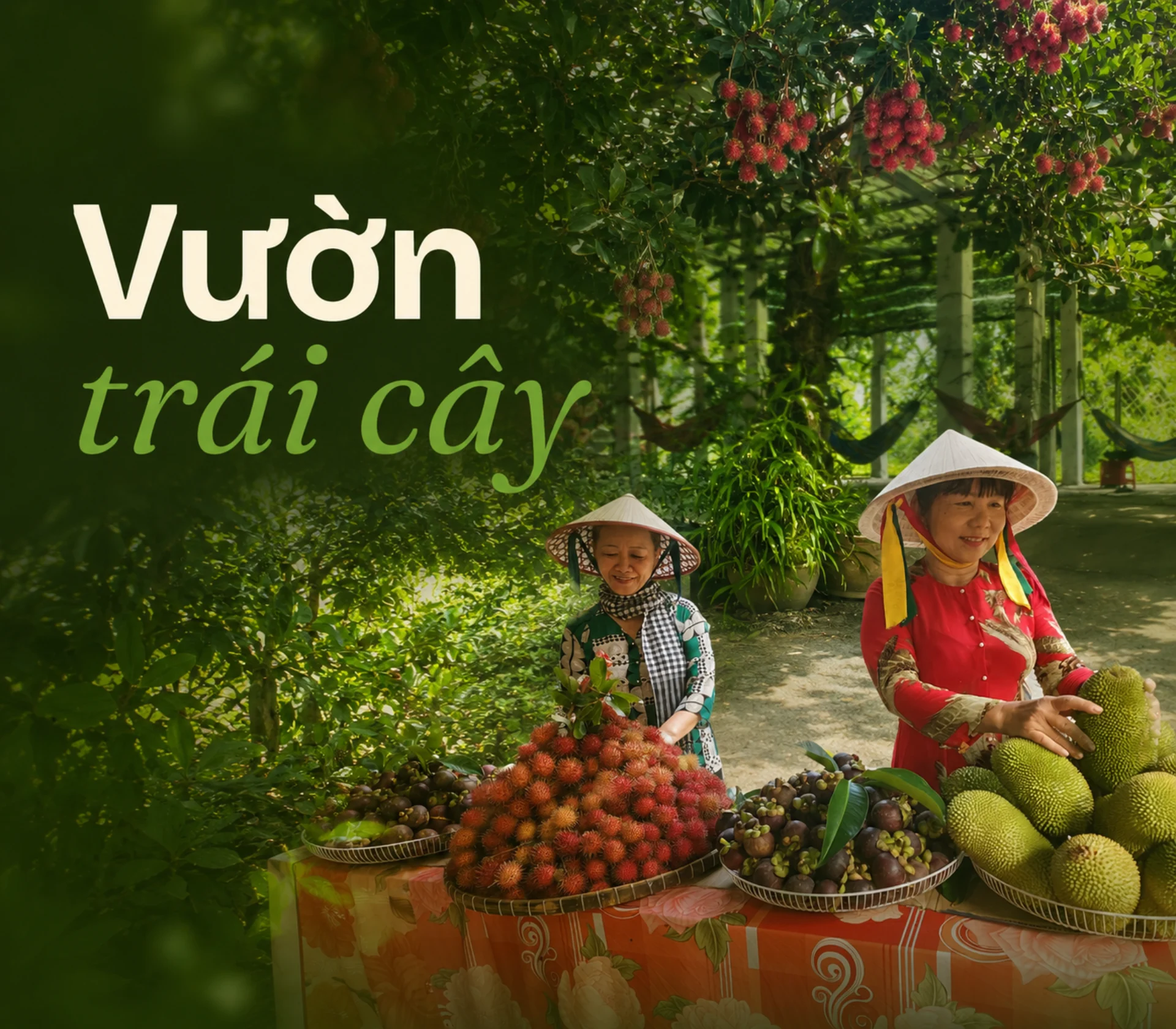 Vườn trái cây